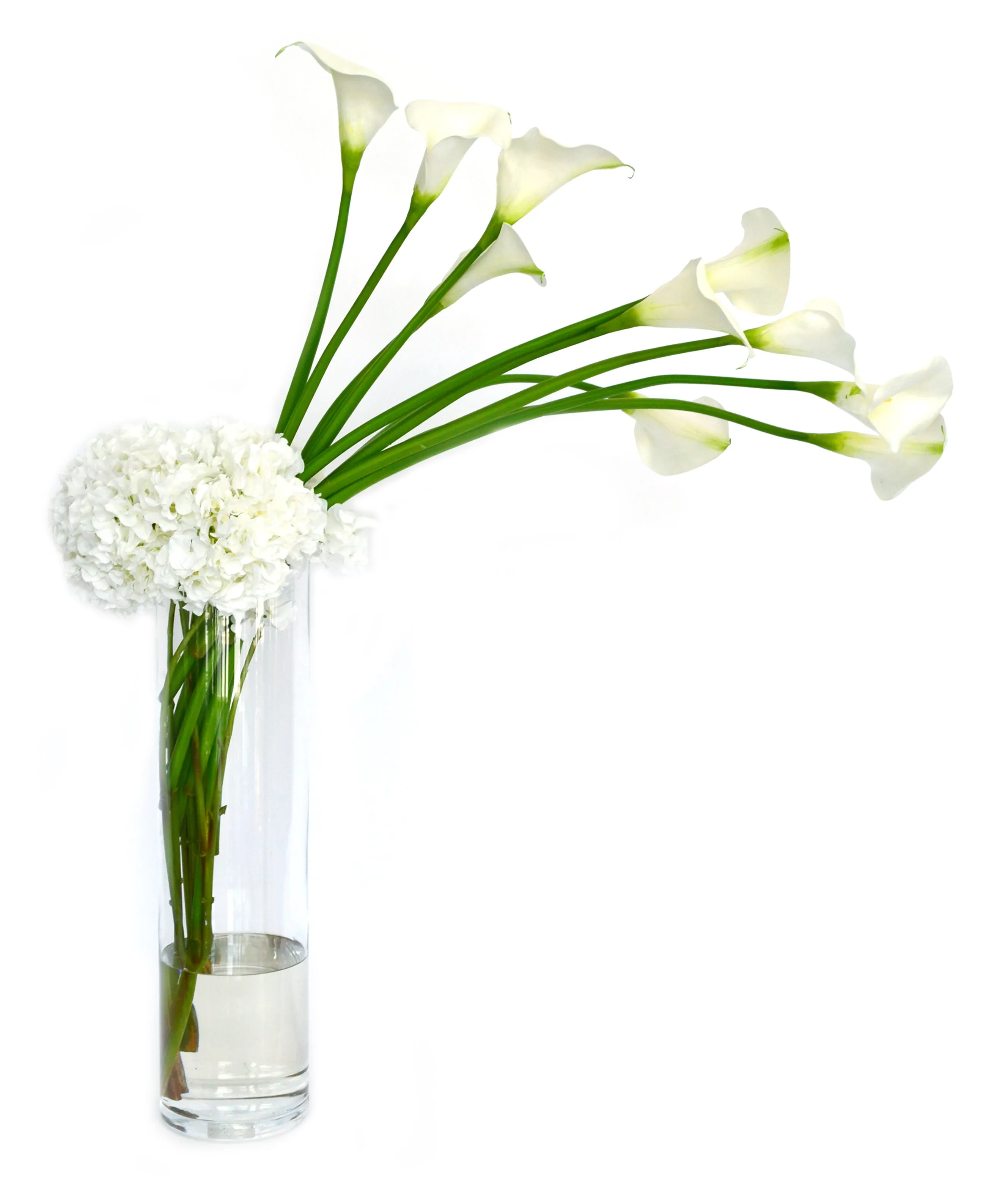 Calla Lily & Hydrangea 27" Cylinder