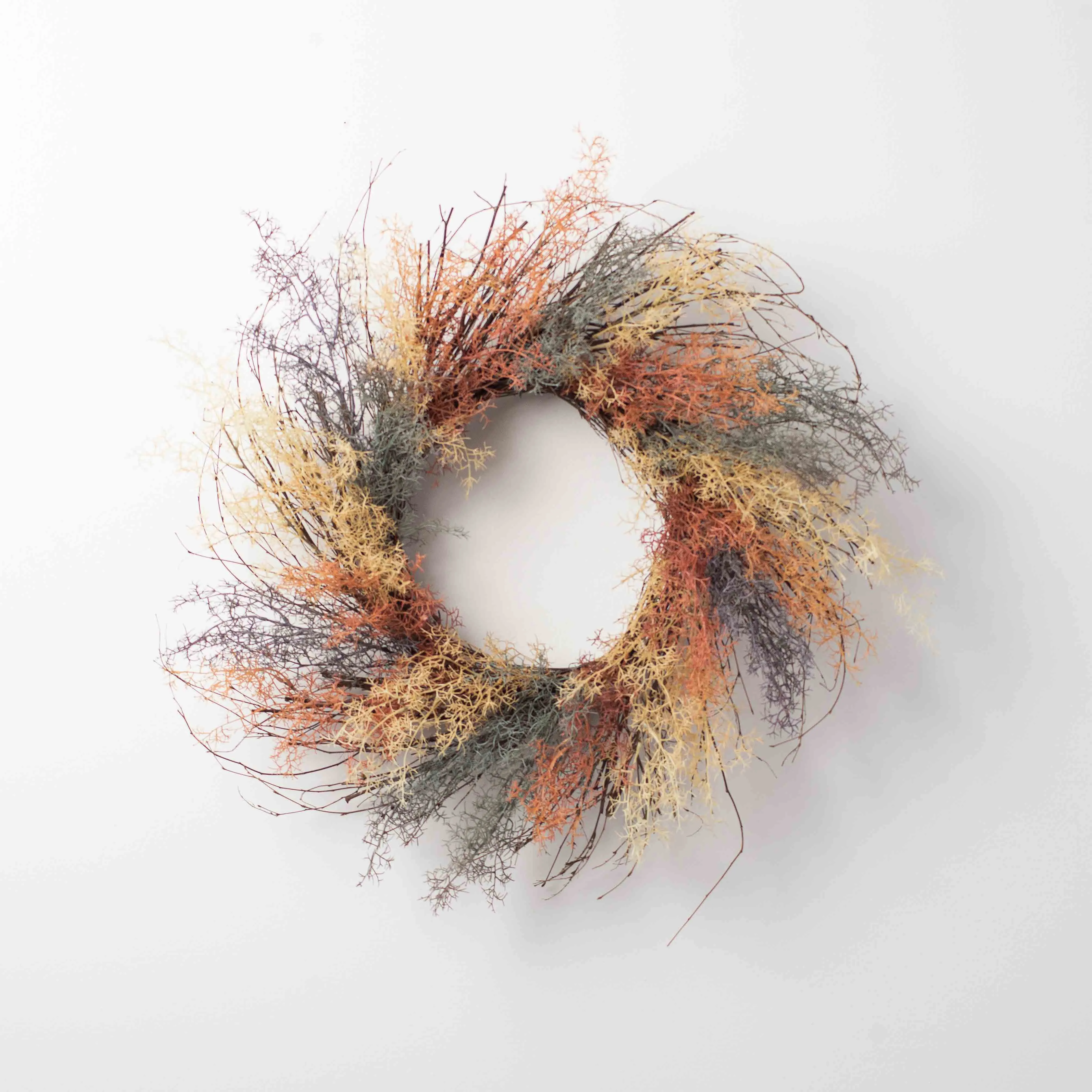 Dreamy Coral Fern On A Wispy Birch Twig Everyday Front Door Wreath