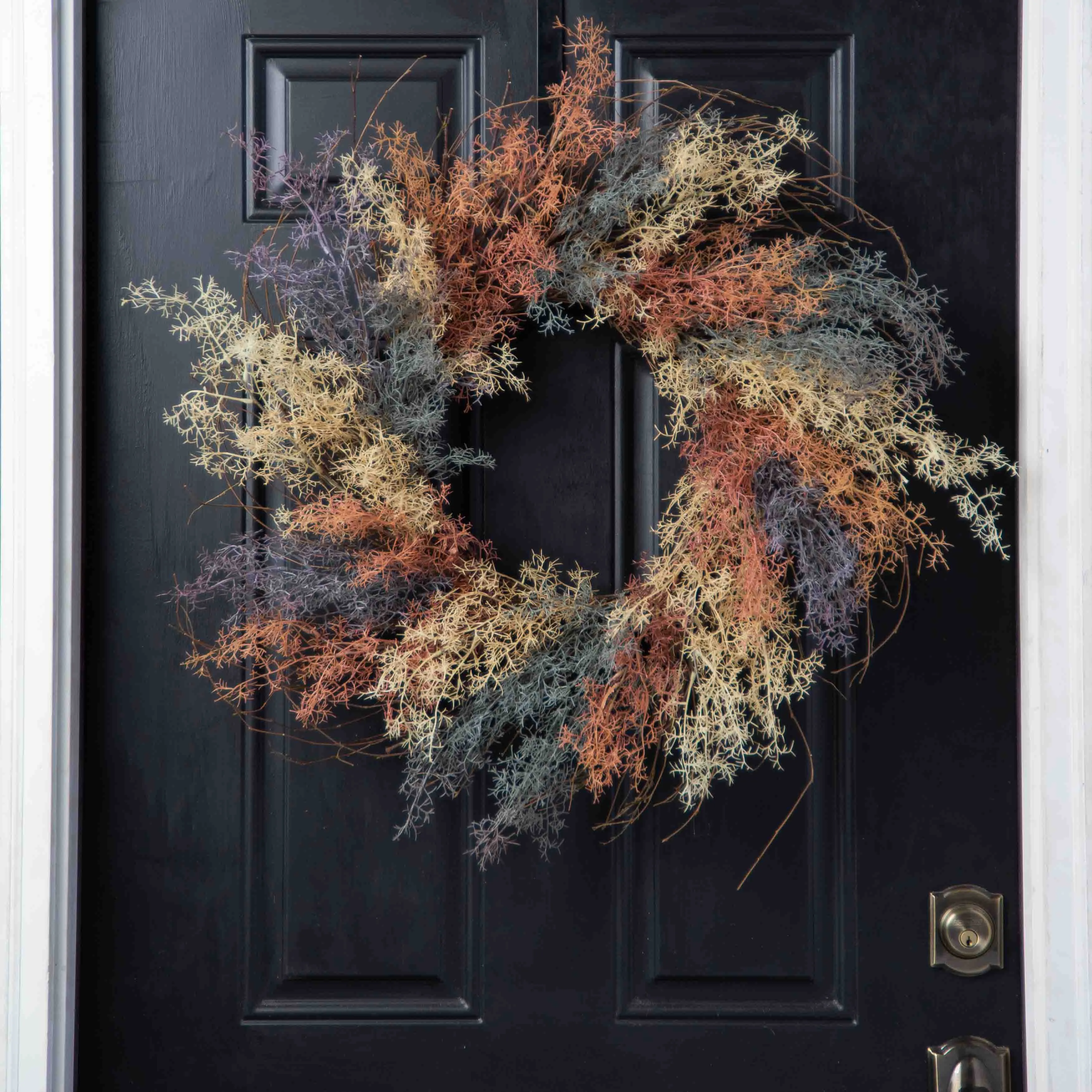 Dreamy Coral Fern On A Wispy Birch Twig Everyday Front Door Wreath