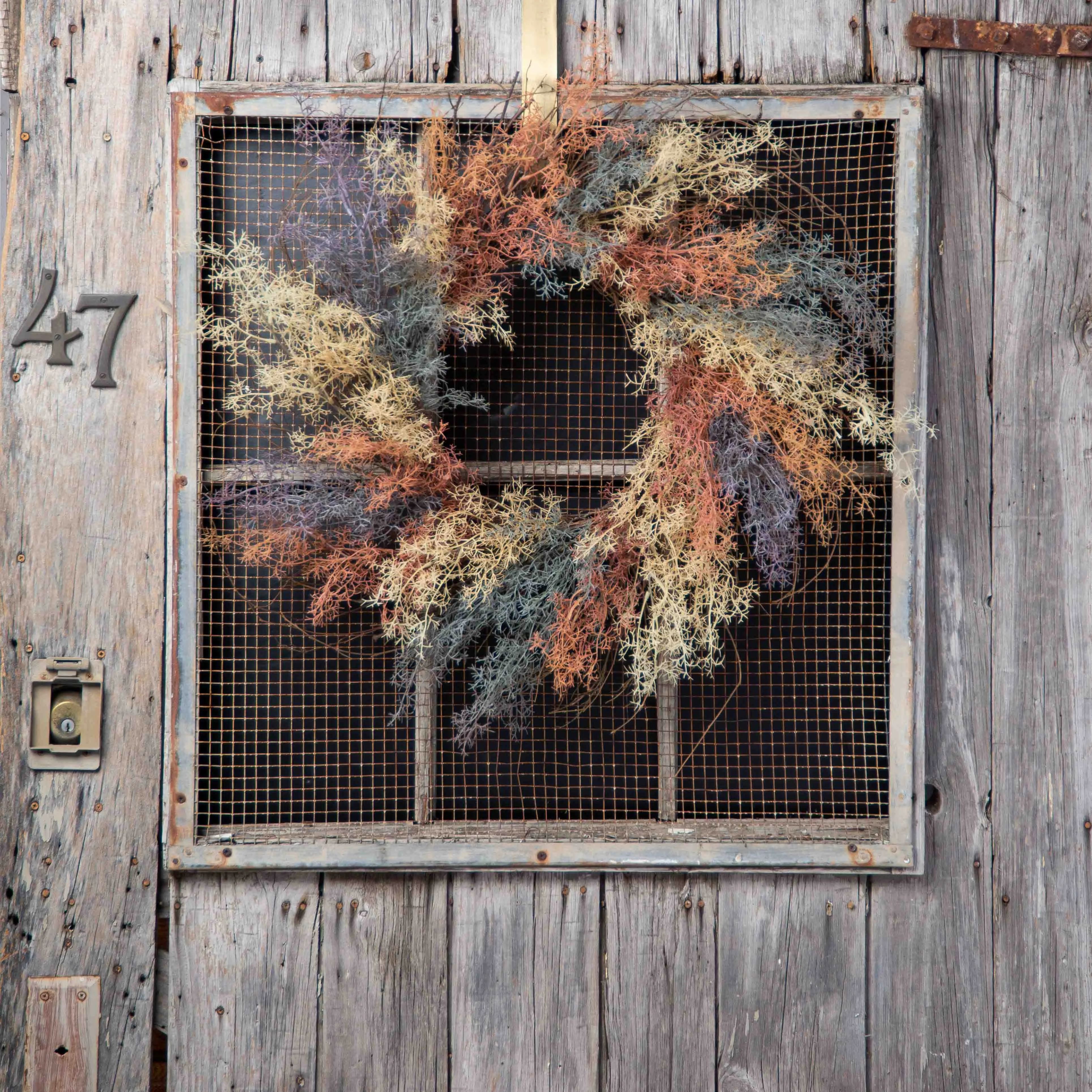 Dreamy Coral Fern On A Wispy Birch Twig Everyday Front Door Wreath