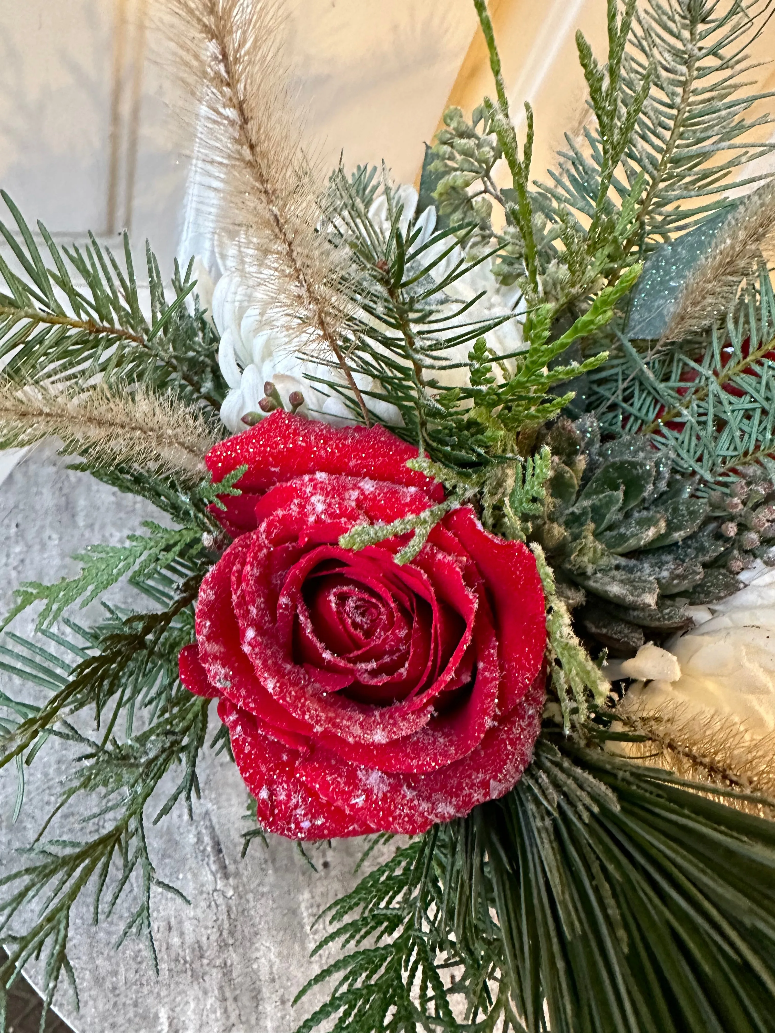 snow covered succulents