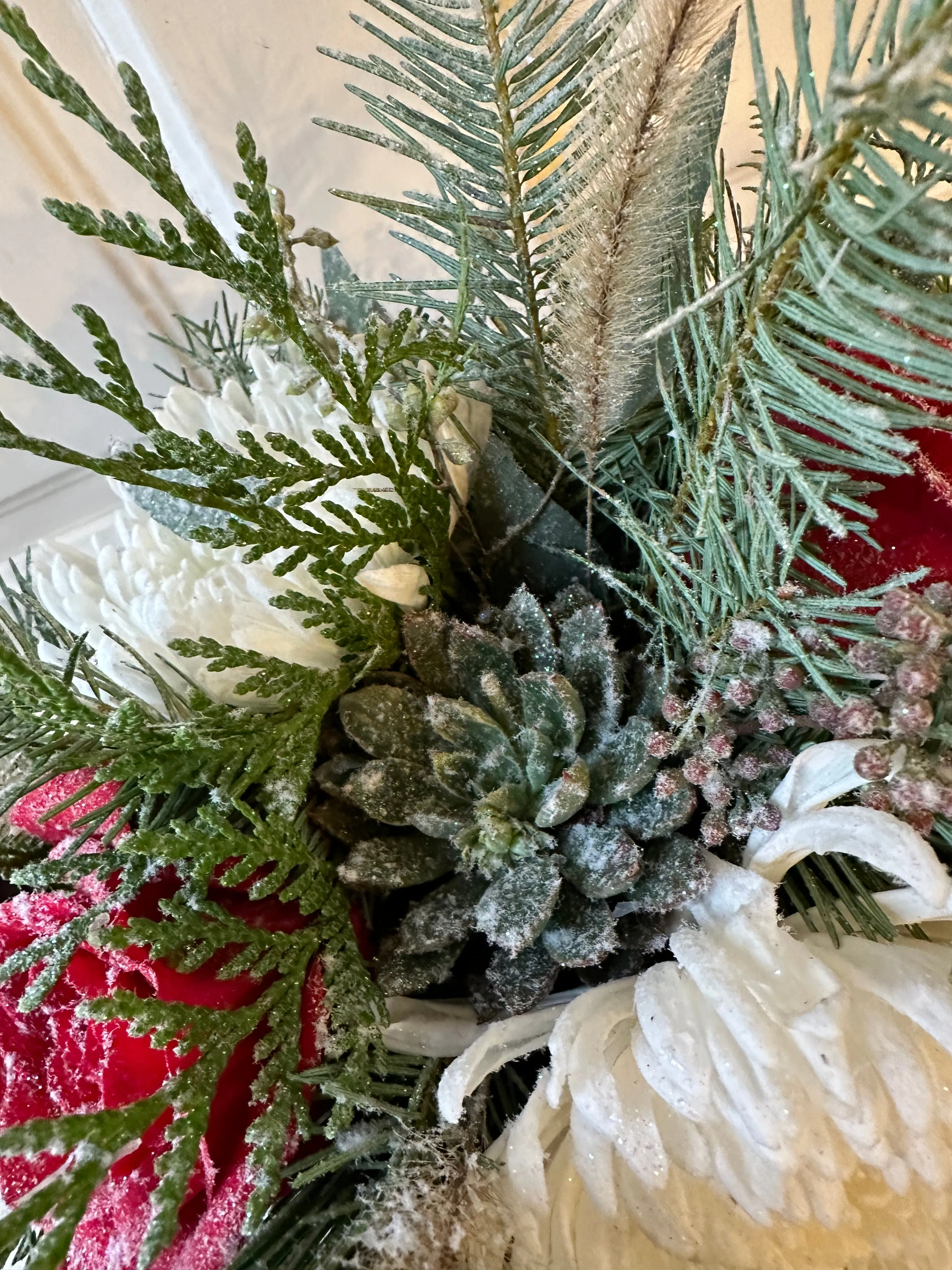 snow covered succulents