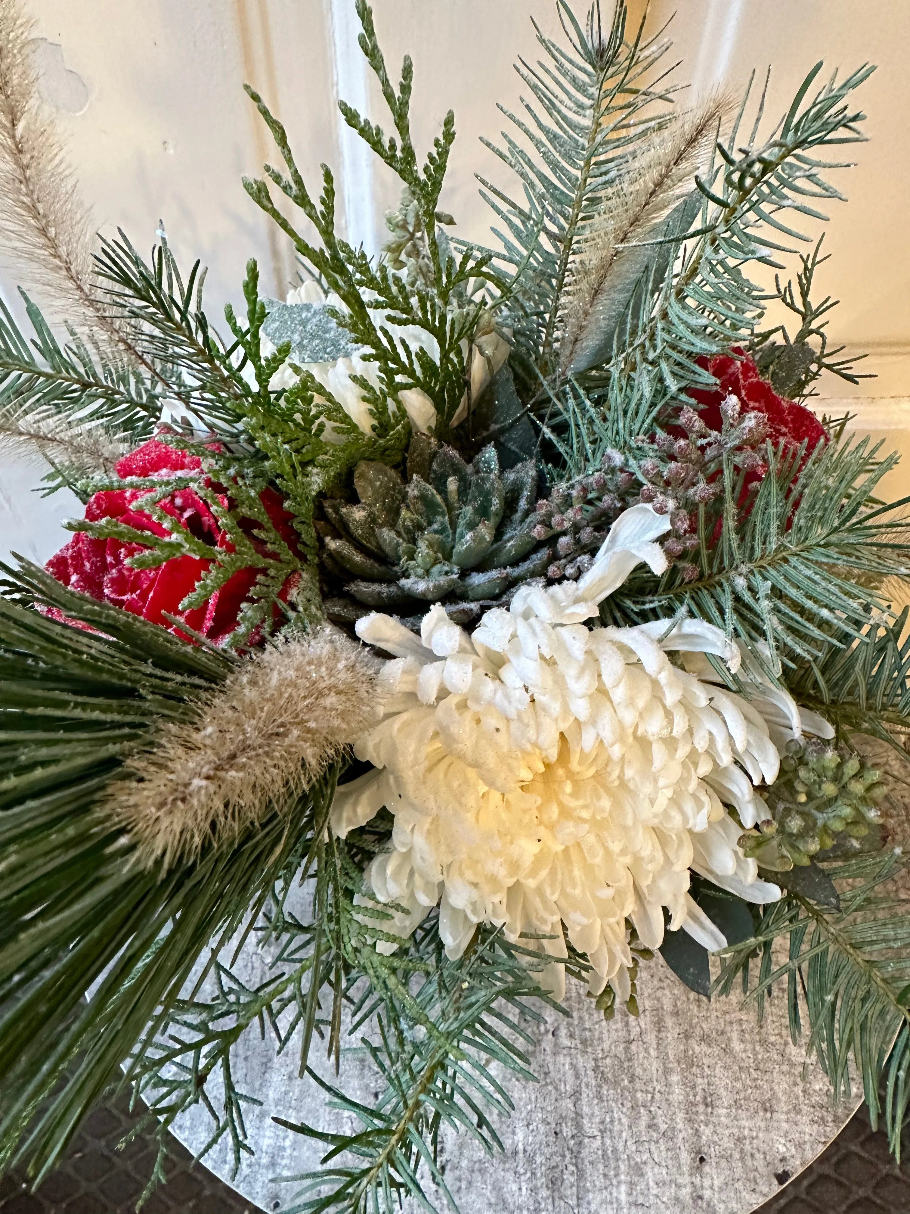 snow covered succulents